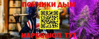 дмт Камышлов