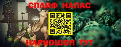 дмт Камышлов
