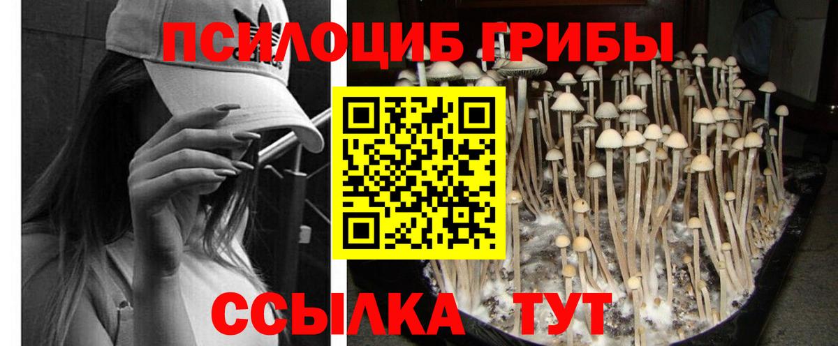 Псилоцибиновые грибы MAGIC MUSHROOMS  Вход с VPN  Кубинка 